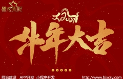 高端網(wǎng)站建設(shè)、學(xué)校網(wǎng)站建設(shè)、星誠視野、北京網(wǎng)絡(luò)公司