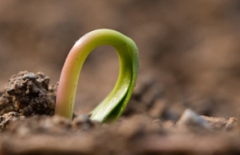 微信小程序、包裝制作小程序